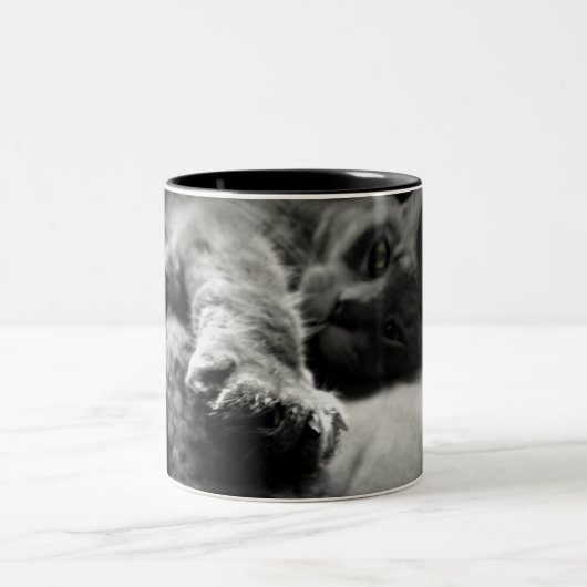 Kitty-Katzen-Foto Zweifarbige Tasse (Mittel)