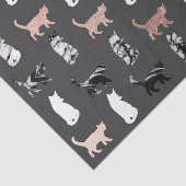 Kitty-Katzen im Rosen-Gold und im Seidenpapier (Ausschnitt)