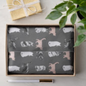 Kitty-Katzen im Rosen-Gold und im Seidenpapier (Geschenk)