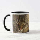 Kitty-Katzen-Kaffee-Tasse Tasse (Links)