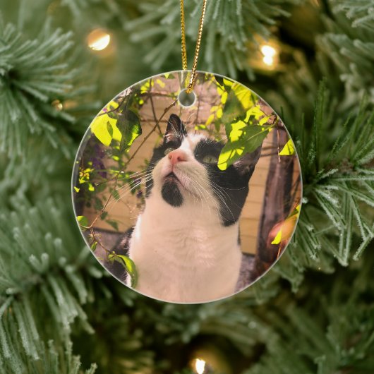 Kitty Keramik Ornament (Baum)