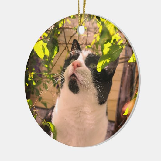 Kitty Keramik Ornament (Links)
