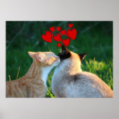 Kitty Kiss Poster (Vorne)