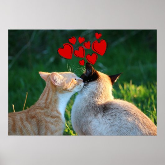 Kitty Kiss Poster (Vorne)