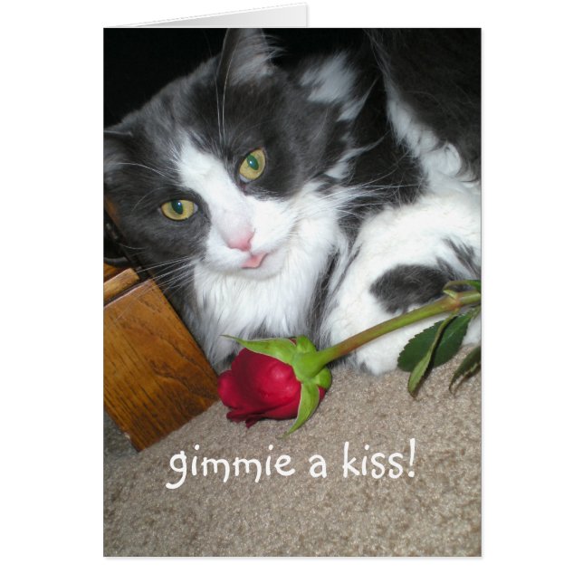 Kitty Kisses Romantic Card (Vorne)