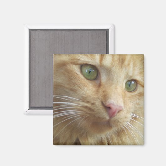 Kitty Koi Magnet (Vorderseite/Rückseite)