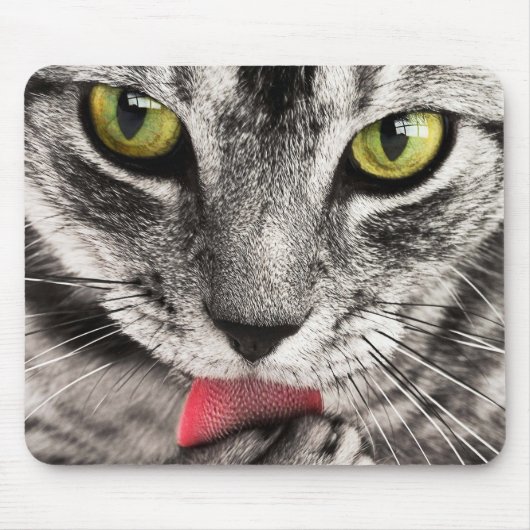 Kitty Lick Mousepad (Vorne)