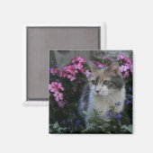 Kitty Liebe Magnet (Vorderseite/Rückseite)