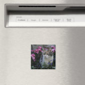 Kitty Liebe Magnet (In Situ (Geschirrspüler))