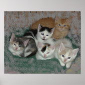 Kitty Liebe Poster (Vorne)