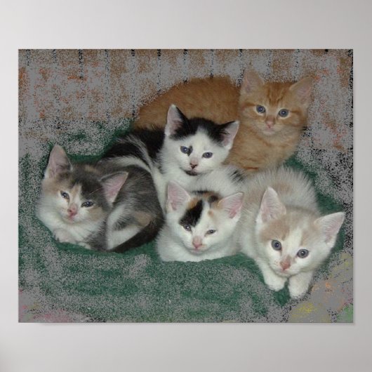 Kitty Liebe Poster (Vorne)