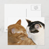 Kitty Liebe Postkarte (Vorne/Hinten)