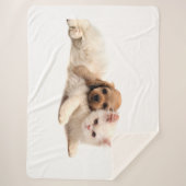 Kitty Liebe Sherpadecke (Vorderseite)