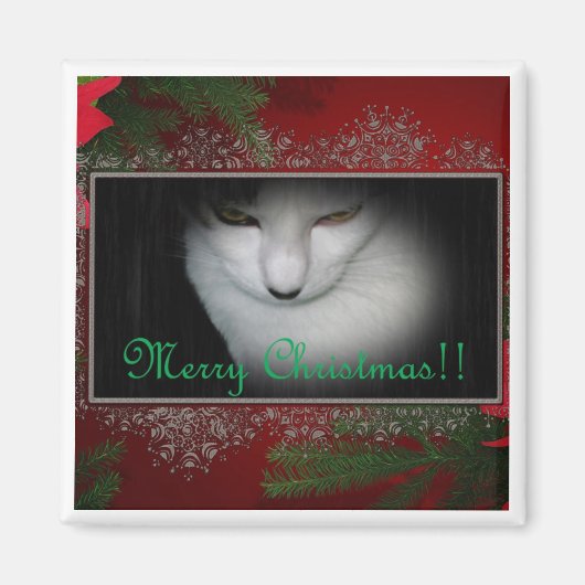 Kitty Liebhaber Weihnachten !! Magnet (Vorne)