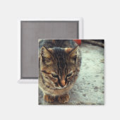 Kitty Magnet (Vorderseite/Rückseite)