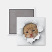 Kitty Magnet (Vorderseite/Rückseite)