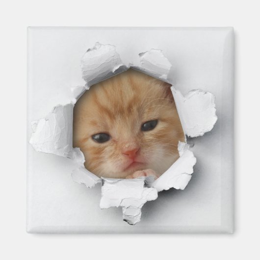 Kitty Magnet (Vorne)