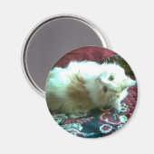 Kitty Magnet (Vorderseite/Rückseite)