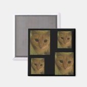 Kitty Magnet (Vorderseite/Rückseite)