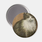 Kitty Magnet (Vorderseite/Rückseite)