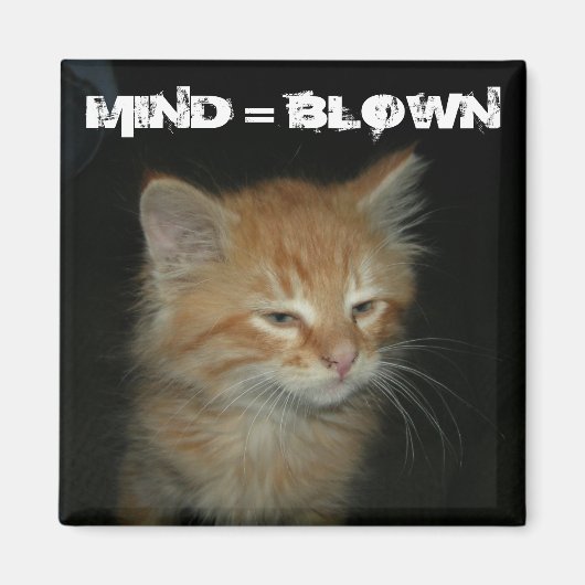 Kitty "MIND = BLOWN" Magnet (Vorne)