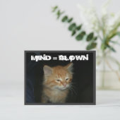 Kitty "MIND = BLOWN" Postkarte (Stehend Vorderseite)