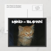 Kitty "MIND = BLOWN" Postkarte (Vorne/Hinten)