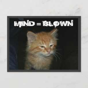 Kitty "MIND = BLOWN" Postkarte