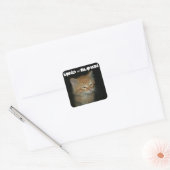 Kitty "MIND = BLOWN" Stickers - Set 20 (Umschlag)