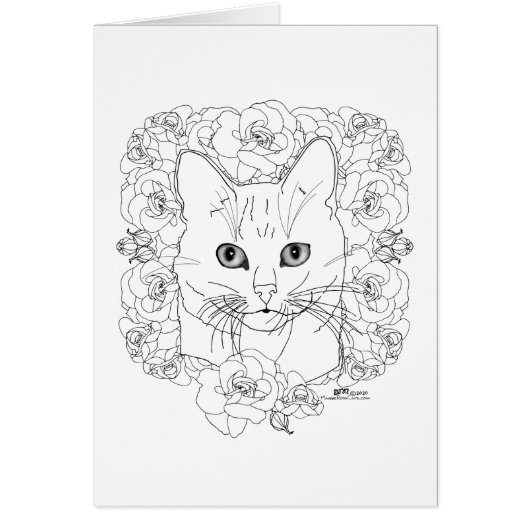 Kitty mit Rose (Vorne)
