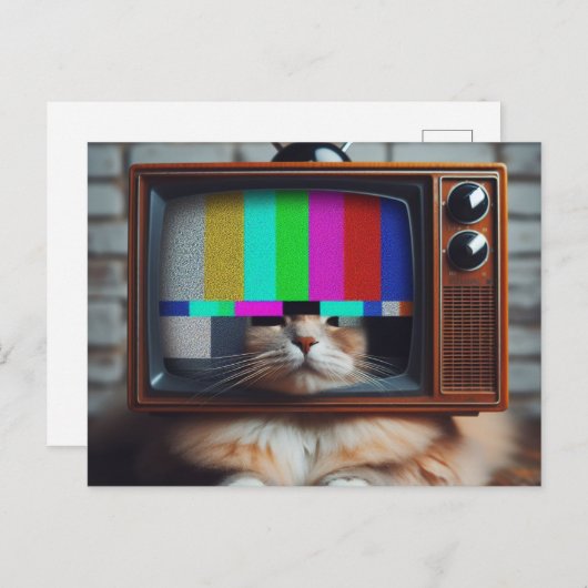 Kitty mit Vintagem Fernseher Postkarte (Vorne/Hinten)