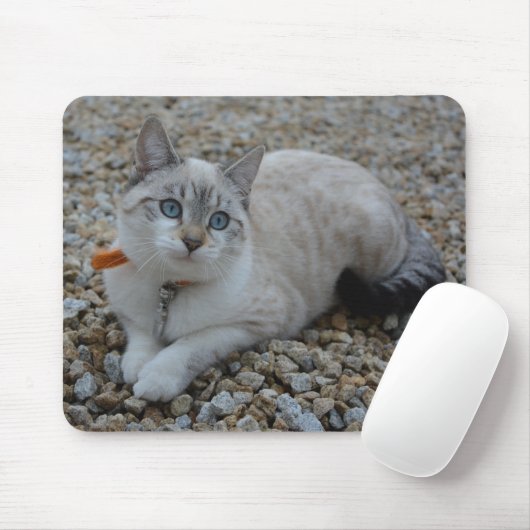 Kitty Mousepad (Mit Mouse)