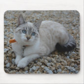 Kitty Mousepad (Vorne)