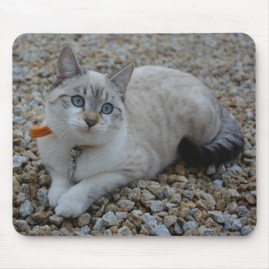 Kitty Mousepad (Vorne)
