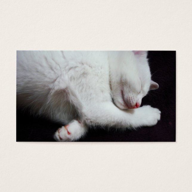 KITTY NICKERCHEN (Vorderseite)