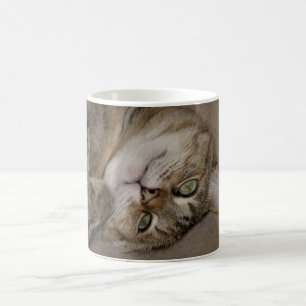 Kitty-niedliche Tasse