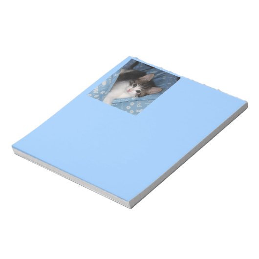 Kitty on Blue Notizblock (Rotiert)