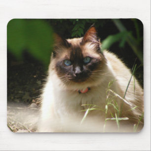 Kitty Pad Mousepad