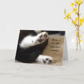 Kitty Paws bekommen eine gute Karte (Gelbe Blume)