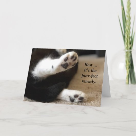 Kitty Paws bekommen eine gute Karte (Vorderseite)