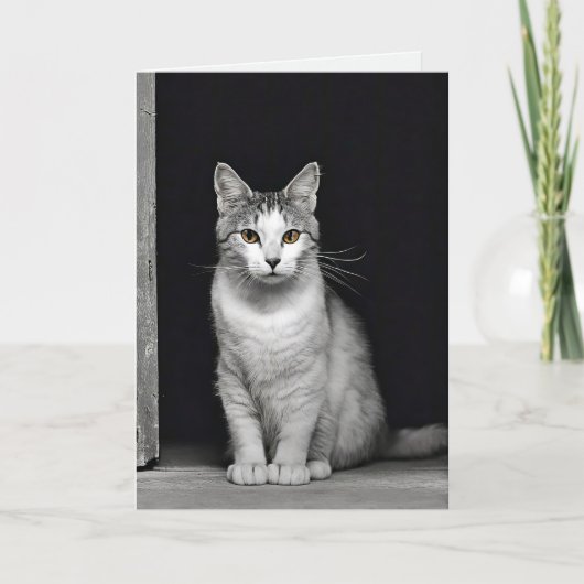 Kitty Pet Loss Beileid Karte (Vorderseite)