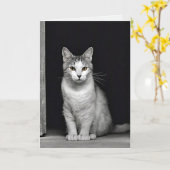 Kitty Pet Loss Beileid Karte (Gelbe Blume)