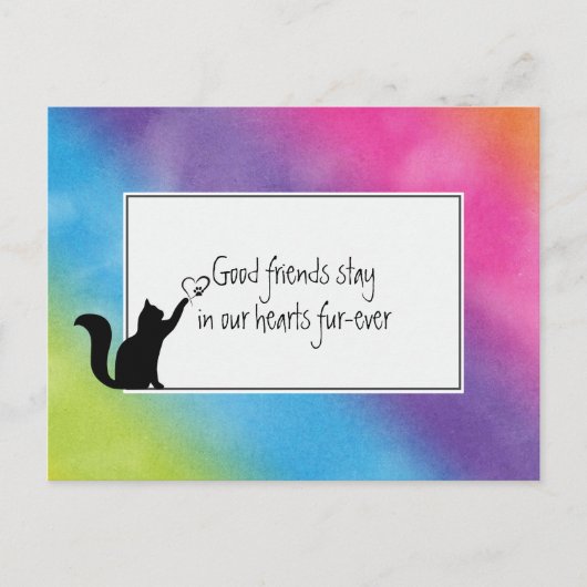 Kitty Pet Loss Beileid von Vet Postkarte (Vorderseite)