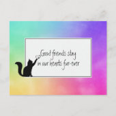 Kitty Pet Loss Beileid von Vet Postkarte (Vorderseite)