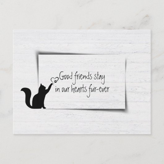 Kitty Pet Loss Beileid von Veterinär Postkarte (Vorderseite)