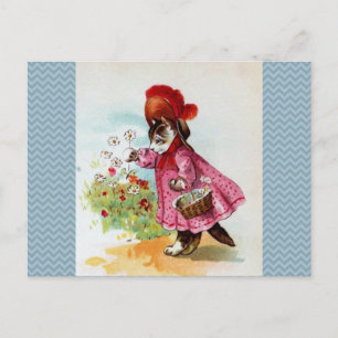 Kitty Picking Blume Postkarte
