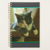 Kitty Planner Planer (Vorderseite)