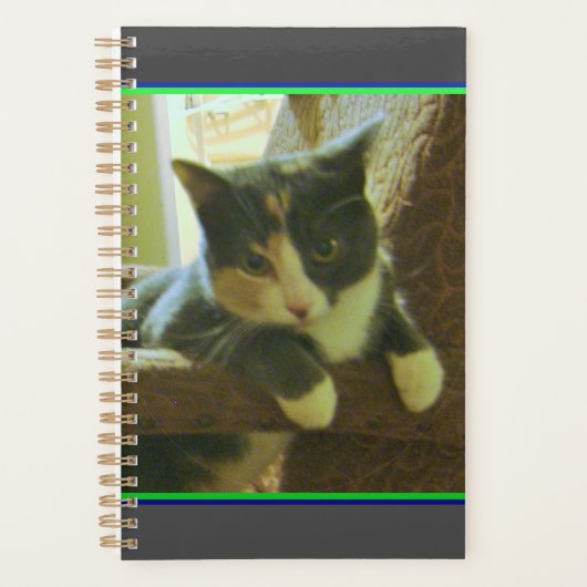 Kitty Planner Planer (Vorderseite)