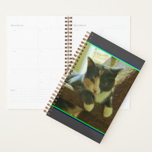 Kitty Planner Planer (Anzeige)