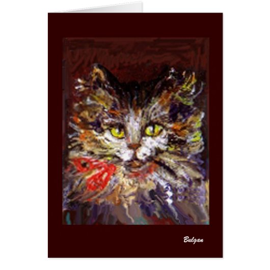 KITTY PORTRAIT (Vorne)